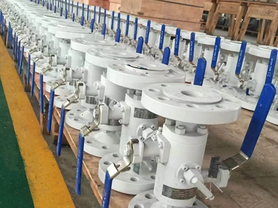 How Does a Modular Double Block and Bleed Valve Work?
